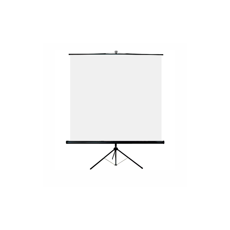 ÉCRAN TOILE PROJECTION
