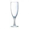 VERRE GAMME REGANI